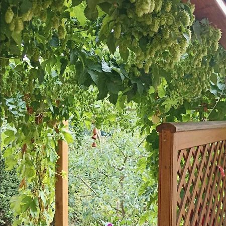 Apartment Mit Gartenblick Eckersdorf 외부 사진