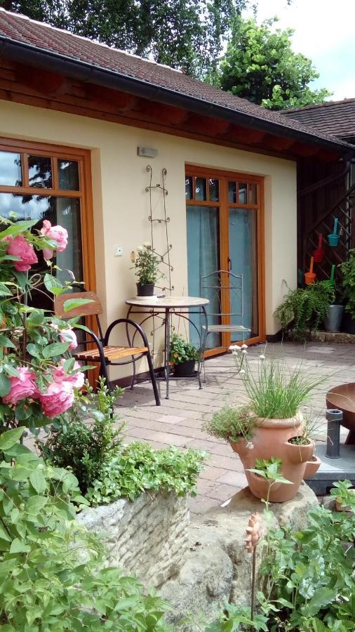 Apartment Mit Gartenblick Eckersdorf 외부 사진