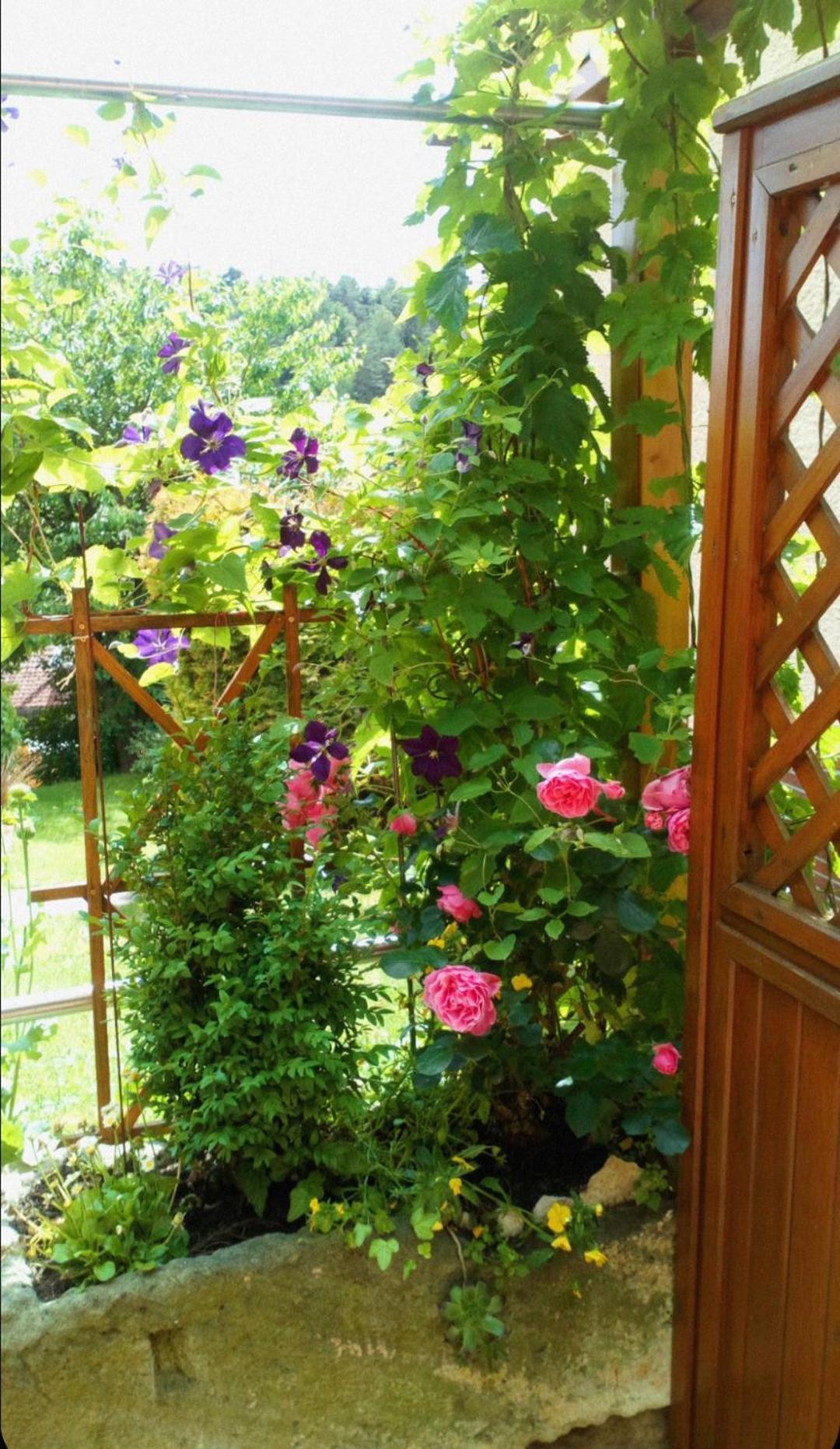 Apartment Mit Gartenblick Eckersdorf 외부 사진