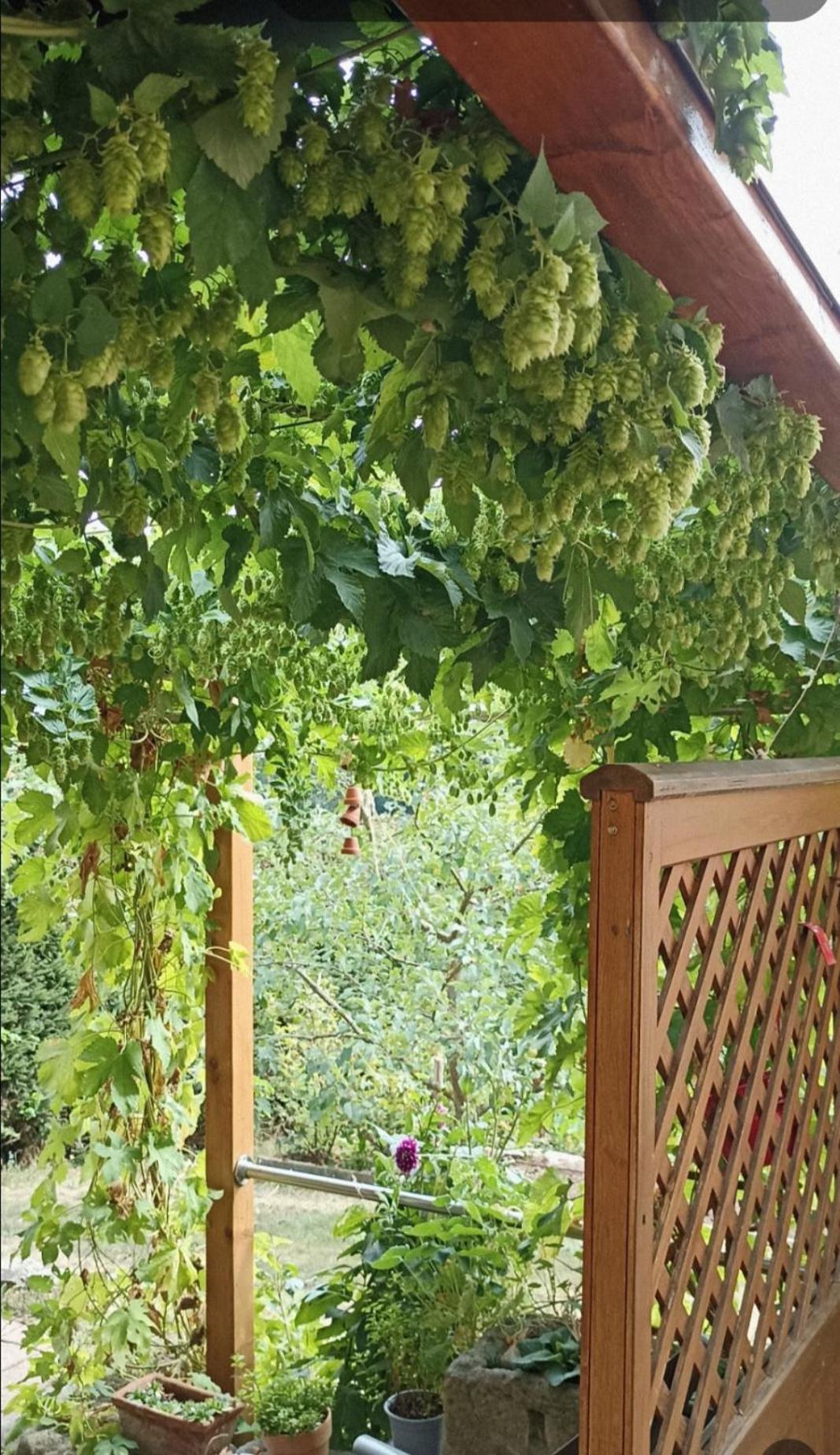 Apartment Mit Gartenblick Eckersdorf 외부 사진
