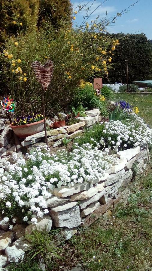 Apartment Mit Gartenblick Eckersdorf 외부 사진