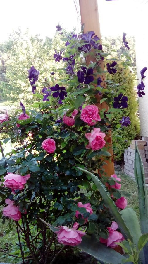 Apartment Mit Gartenblick Eckersdorf 외부 사진