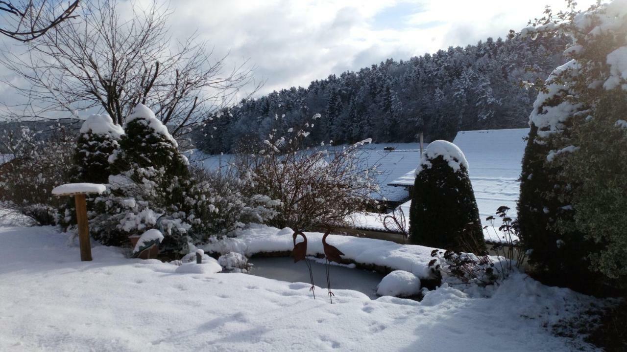 Apartment Mit Gartenblick Eckersdorf 외부 사진