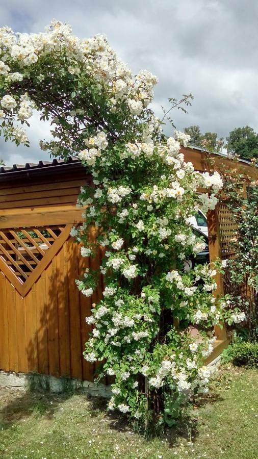 Apartment Mit Gartenblick Eckersdorf 외부 사진