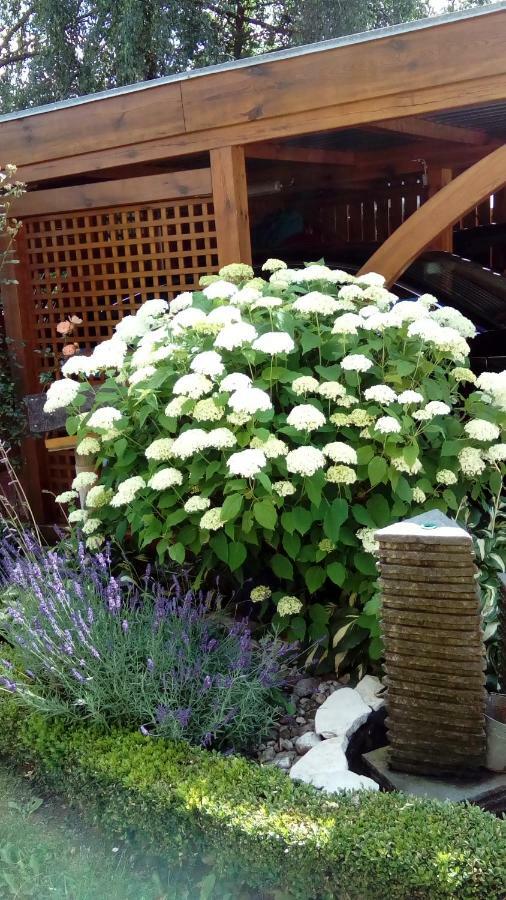 Apartment Mit Gartenblick Eckersdorf 외부 사진