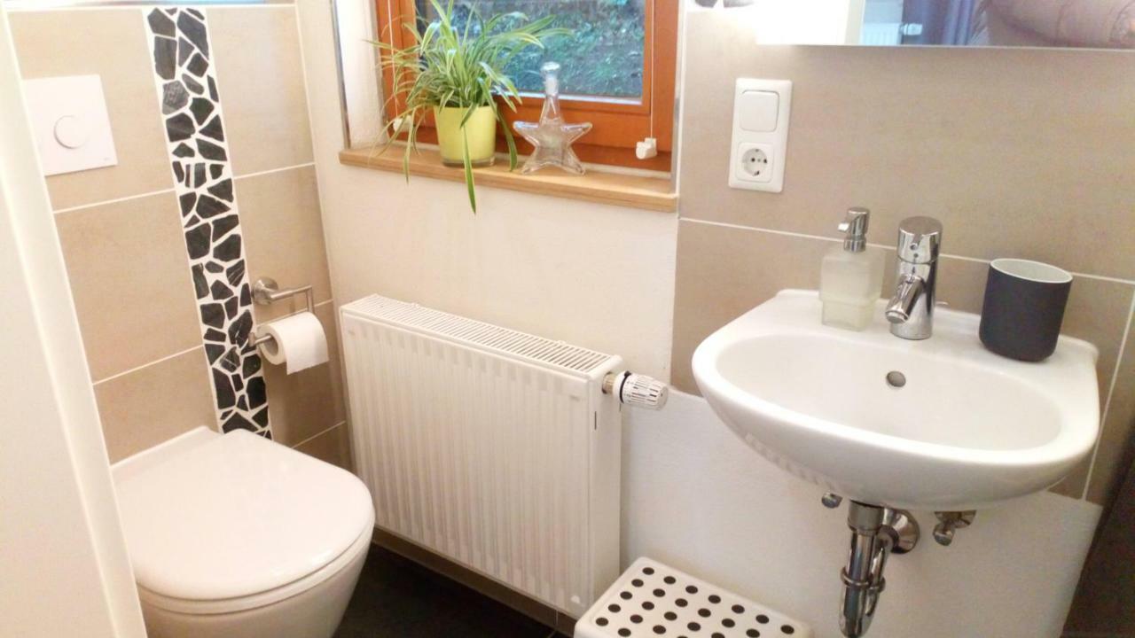 Apartment Mit Gartenblick Eckersdorf 외부 사진
